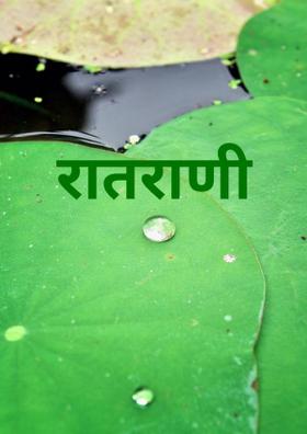 रातराणी