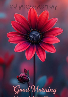 କବି ହୃଦୟର ଦରଦୀ ବନ୍ଧୁ 