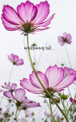 મગરીબેનના ઘરે