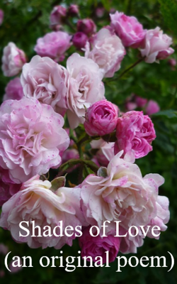 Shades of Love (an original poem)