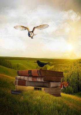 कॉटन-कैंडी-सी तुम