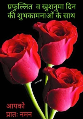 जन्मदिन की बधाई मेरी परीयों