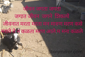 जीवन जगता जगता 
जगात जीवन  जगने  शिकलो 
जीवनात मरता मरता मन मारुण मरण कसे मरावे ते न कळता मरण आले म मना कळले 