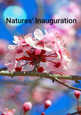 Natures' Inauguration