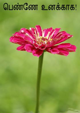 பெண்ணே  உனக்காக!