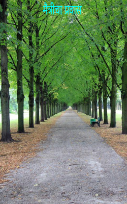 मैत्रीचा प्रवास