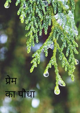 प्रेम का पौधा