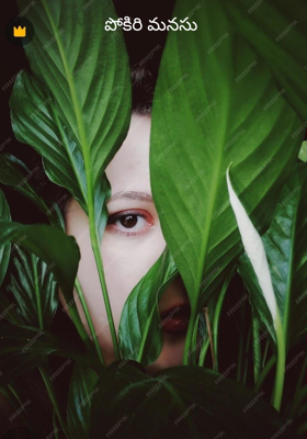 పోకిరి మనసు 