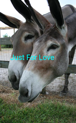 Just For Love