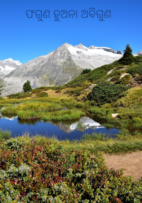 ଫଗୁଣ ହୁଅନା ଅବିଗୁଣ 