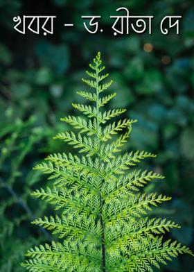 খবর - ড. রীতা দে