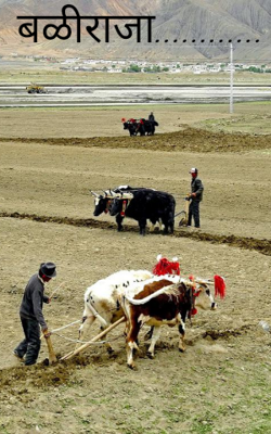 बळीराजा............