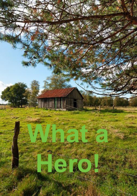 What A Hero!