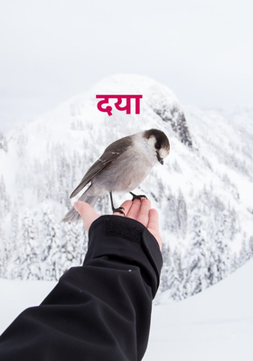 दया