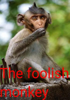 The Foolish Monkey