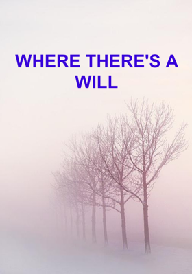 Where There's A Will