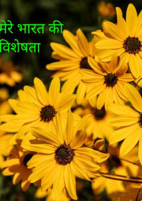 मेरे भारत की विशेषता