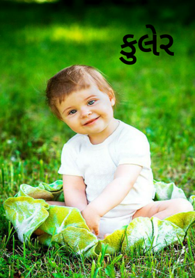 કુલેર