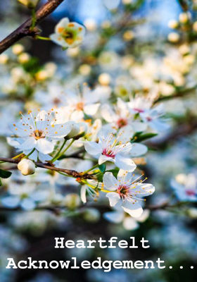 Heartfelt Acknowledgement...