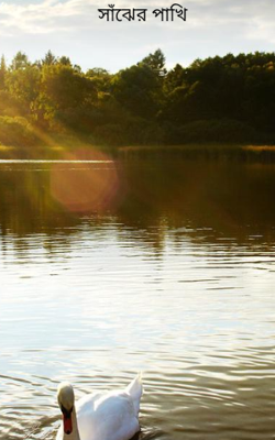 সাঁঝের পাখি