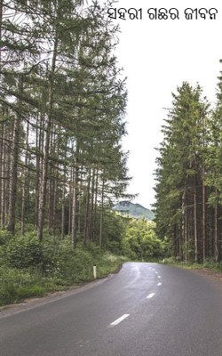 ସହରୀ ଗଛର ଜୀବନ