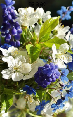 ମହାଭାରତ