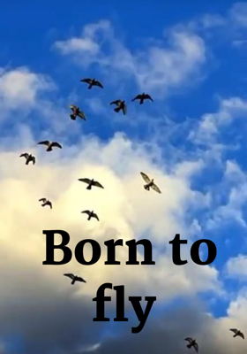 Born to fly