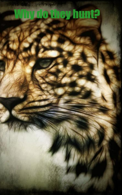 Why Do They Hunt?