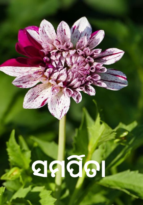 ସମର୍ପିତା