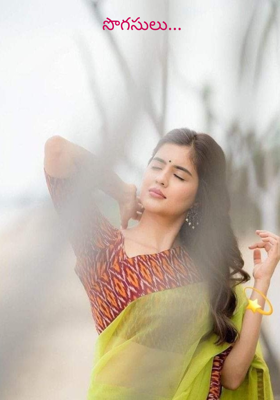 సొగసులు...