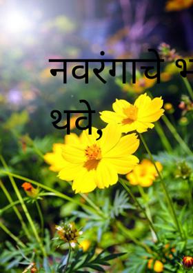 नवरंगाचे भरती थवे,