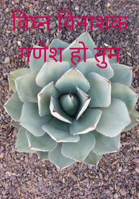 विघ्न विनाशक गणेश हो तुम