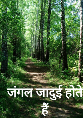 जंगल जादुई होते हैं