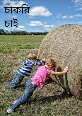 চাকরি চাই