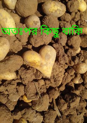 অতঃপর কিছু বাকি