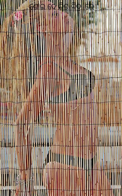 ଶୋଇଦେ ଚିର ନିଦ୍ରାରେ