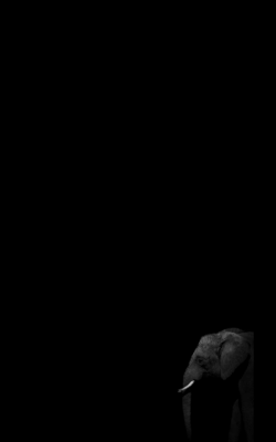 गोष्ट माधुरीची ... 