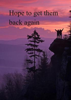Hope To Get Them Back Again