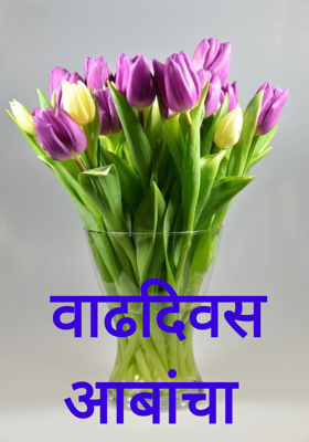 वाढदिवस आबांचा