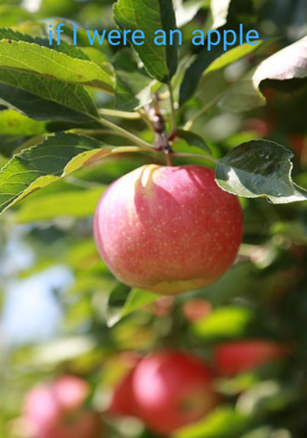 If I were an apple