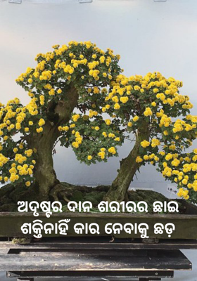 ଅଦୃଷ୍ଟର ଦାନ ଶରୀରର ଛାଇ ଶକ୍ତିନାହିଁ କାର ନେବାକୁ ଛଡ଼