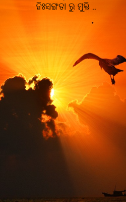 ନିଃସଙ୍ଗତାରୁ ମୁକ୍ତି