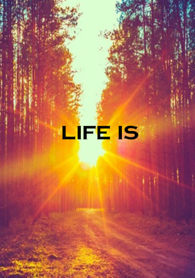Life Is