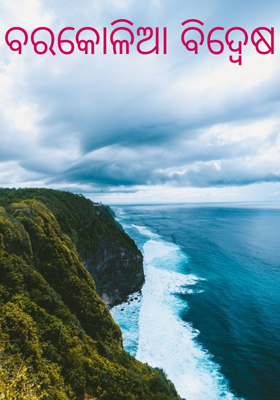 ବରକୋଳିଆ ବିଦ୍ଵେଷ