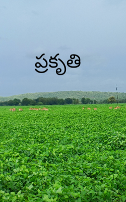 ప్రకృతి