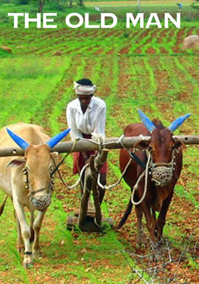 The Old Man