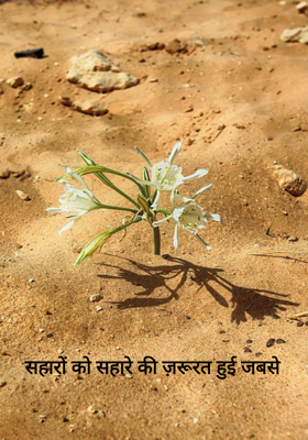 सहारों को सहारे की ज़रूरत हुई जबसे 
