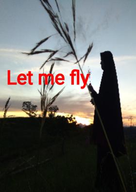 Let Me Fly