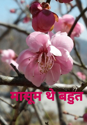 मासूम थे बहुत