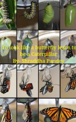 To look like a butterfly, learn to be a Caterpillar